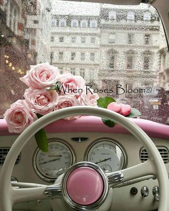 WhenRosesBloom Pink Roses Rain Paris