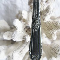 Single Silver Teaspoon Cotillion Pattern 1937 Rogers Silver International Silver When Roses Bloom