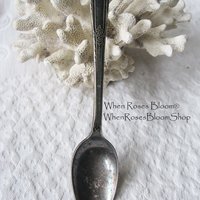 Single Silver Teaspoon Cotillion Pattern 1937 Rogers Silver International Silver When Roses Bloom