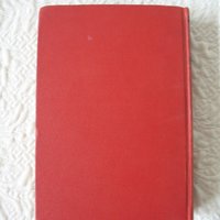 Vintage Mystery Book Red Retro Library Decorative Graphic Art Cover Juvenile Child Fiction Mystery Intrigue  WhenRosesBloom