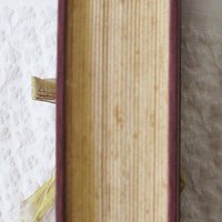 Vintage Red Book biography Fanny Kemble 1st Edition Margaret Armstrong Southern Slavery Plantation life Decorative Library WhenRosesBloom