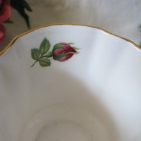 Vintage Tea Cup Shakespeare  Rose English Bone China Tea Gift Dainty Elegant Shabby Chic Retro Mid Century Classic British WhenRosesBloom