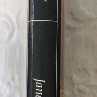 Vintage Book Northanger Abbey Jane Austen Classic Romance Love Literature Gift for her Decorative Library Decor   WhenRosesBloom