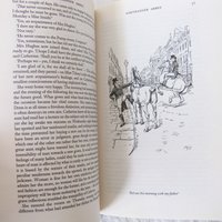 Vintage Book Northanger Abbey Jane Austen Classic Romance Love Literature Gift for her Decorative Library Decor   WhenRosesBloom