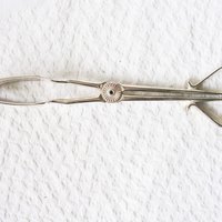 Vintage Silver Server Tongs for Cake Sandwich Pastry Elegant Afternoon Tea Party Downton Austen Cottage Shabby Chic Tea Gift WhenRosesBloom