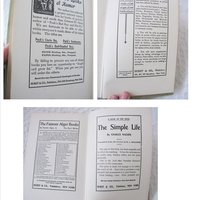 Decorative Book Hope Darrow V F Townsend Rare Vintage Retro Library Decorative Graphic Art Cover Juvenile Child Fiction WhenRosesBloom