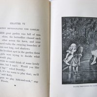 Book Dorothy Dainty Vintage Juvenile Child Fiction Retro Library Decorative Graphic Art Cover  WhenRosesBloom