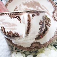 Teacup Kenilworth Castle Johnson Bros English  Downton Elegant Steampunk Gentlemen's Tea Retro Booklover's Tea Walter Scott WhenRosesBloom