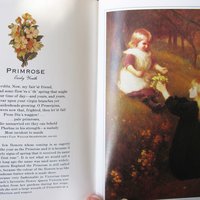 Vintage Penhaligon Scented Book The Language of Flowers  1st Ed Perfumed Classic Romantic Gift  Decorative Library Decor WhenRosesBloom