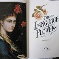 Vintage Penhaligon Scented Book The Language of Flowers  1st Ed Perfumed Classic Romantic Gift  Decorative Library Decor WhenRosesBloom