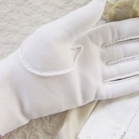 Vintage White Gloves Rose Embroidery Wedding Classic Retro Mid Century Bride Bridesmaid Downton Austen Cosplay Free Ship US When Roses Bloom