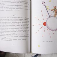 Book The Little Prince Vintage Retro Library Decorative Graphic Art  Juvenile Child Fiction Fantasy 60th Anniversary Edition WhenRosesBloom