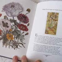 Vintage Penhaligon Scented Book A Victorian Posy  1st Ed English Perfumed Classic Romantic Gift  Decorative Library Decor WhenRosesBloom