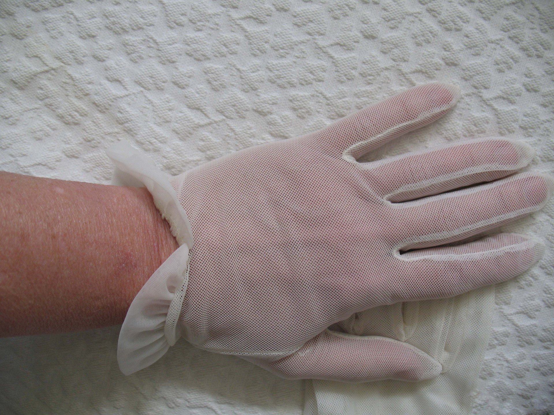 Vintage Gloves Sheer White Net Retro Cosplay Mid Century Wedding 1st Communion Tea Dance Downton Tea Party Free Ship  US When Roses Bloom