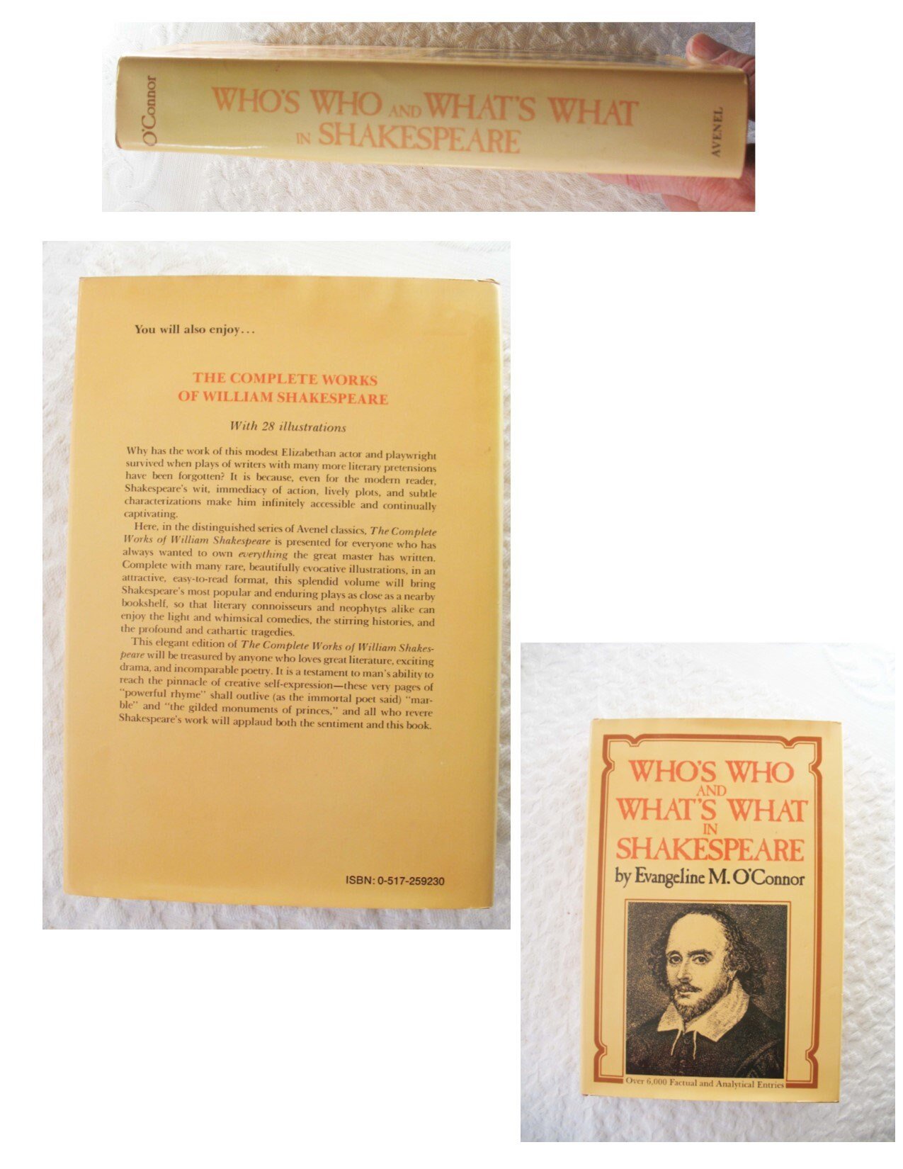William Shakespeare Book Vintage Classic Who What in depth helps insights dictionary All about Shakespeare Gift Book WhenRosesBloom