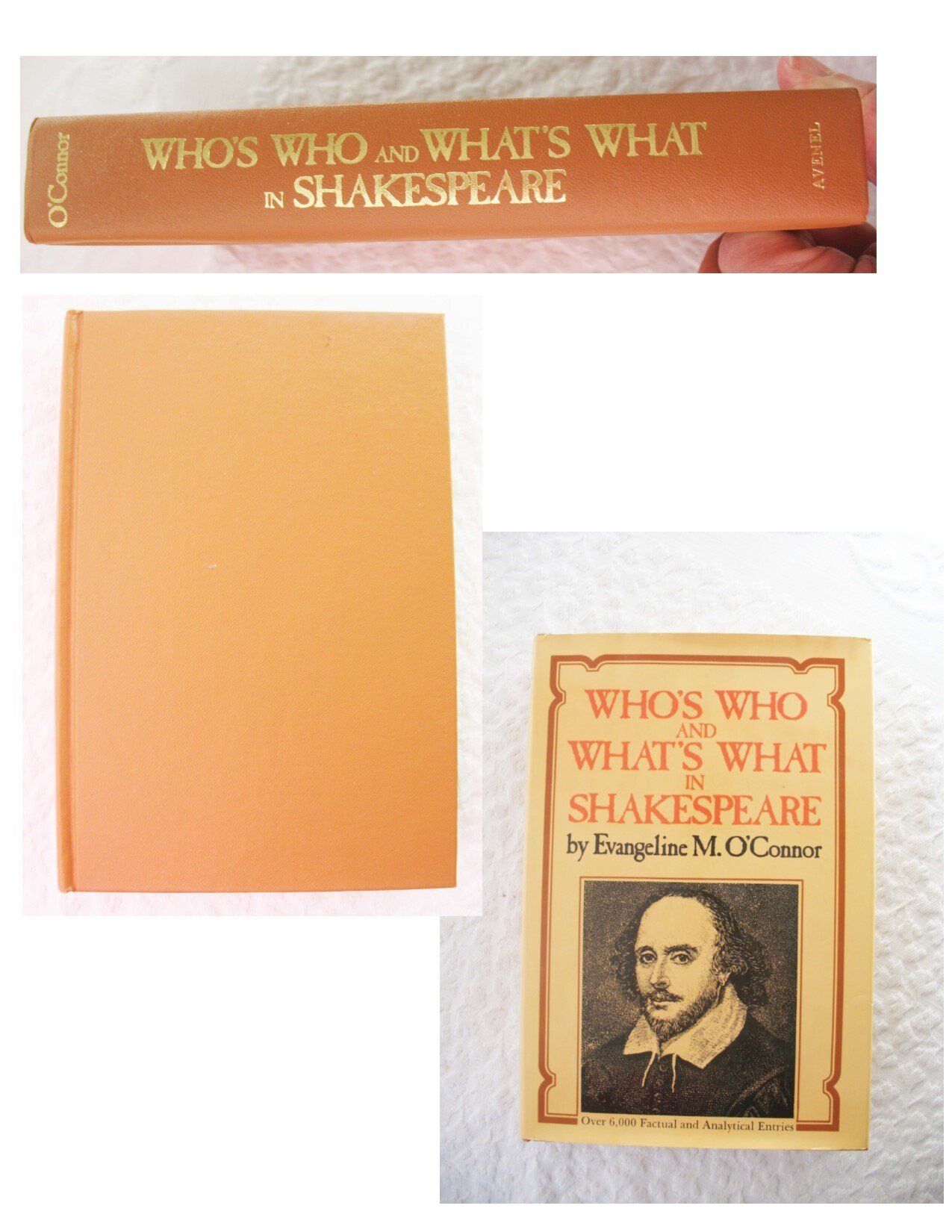 William Shakespeare Book Vintage Classic Who What in depth helps insights dictionary All about Shakespeare Gift Book WhenRosesBloom