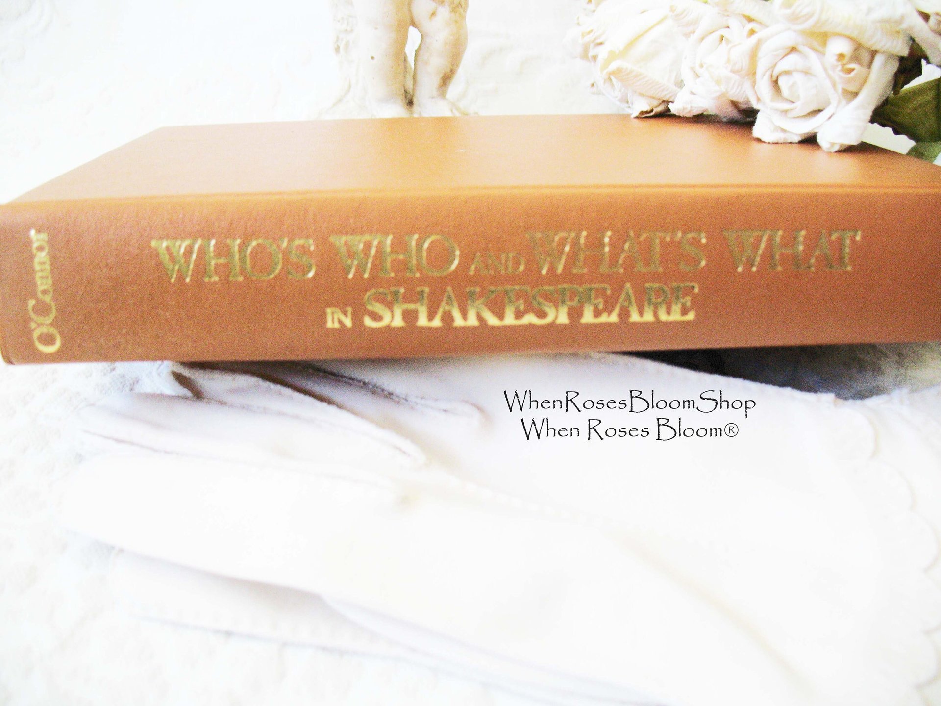 William Shakespeare Book Vintage Classic Who What in depth helps insights dictionary All about Shakespeare Gift Book WhenRosesBloom