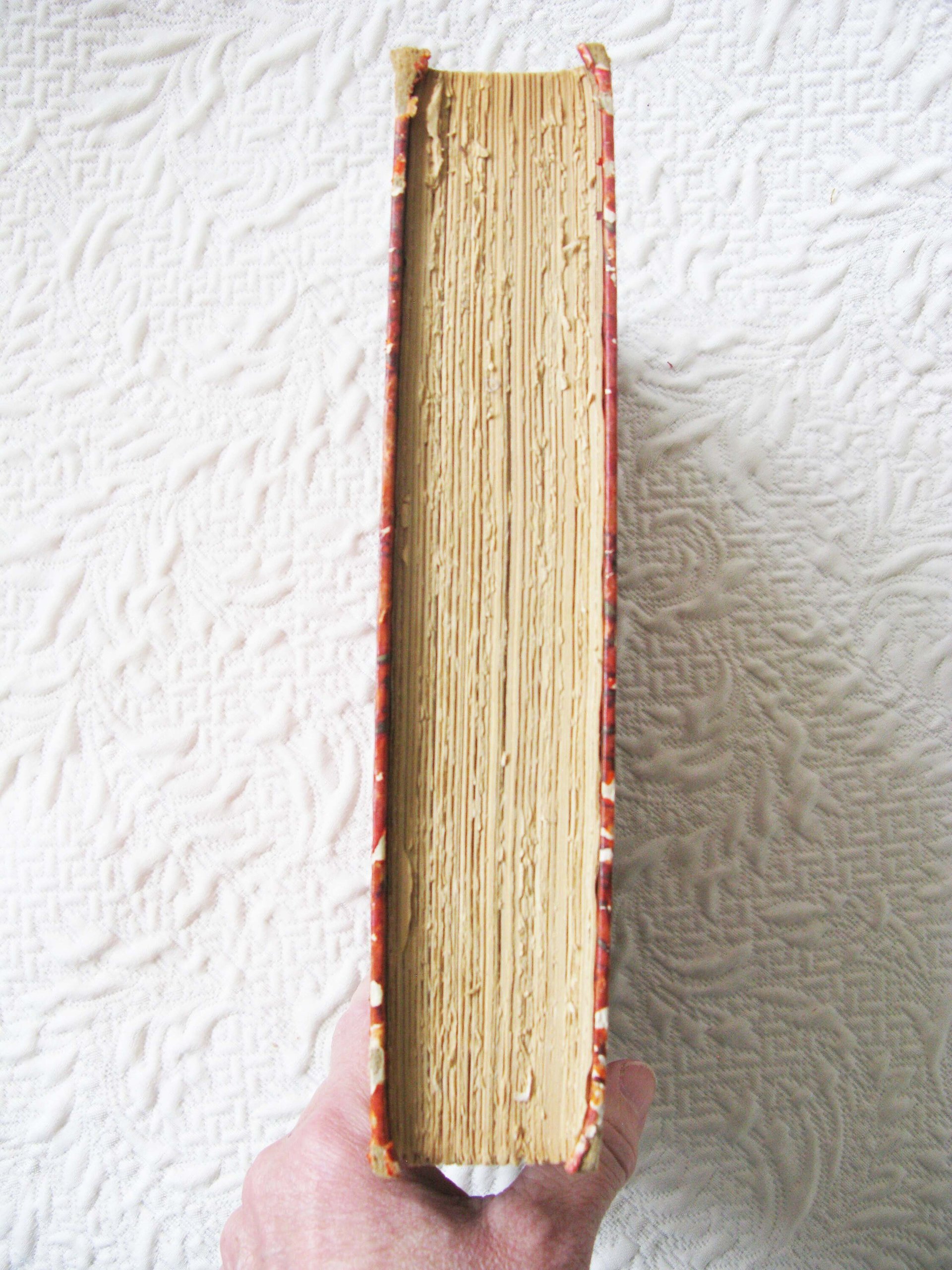 Rare Poetry Book The Golden Treasury of Song & Lyric Pretty Decorative Literary Poetry Vintage Library Gift Decorative Art WhenRosesBloom