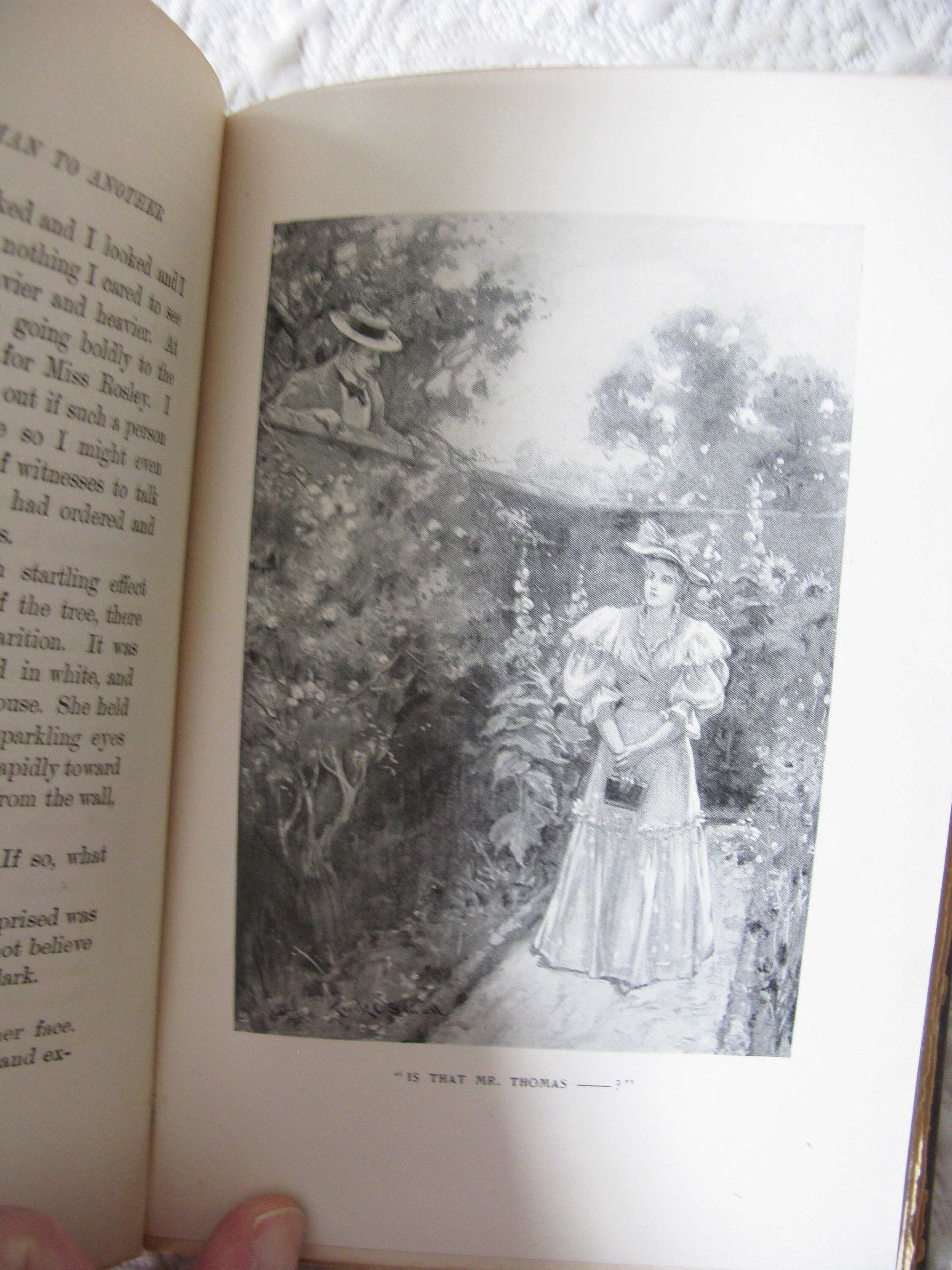 Blue Book Storyteller's Pack 1st Edition Frank Stockton Margaret Armstrong Pretty Decorative Cover Decorative Library Gift WhenRosesBloom