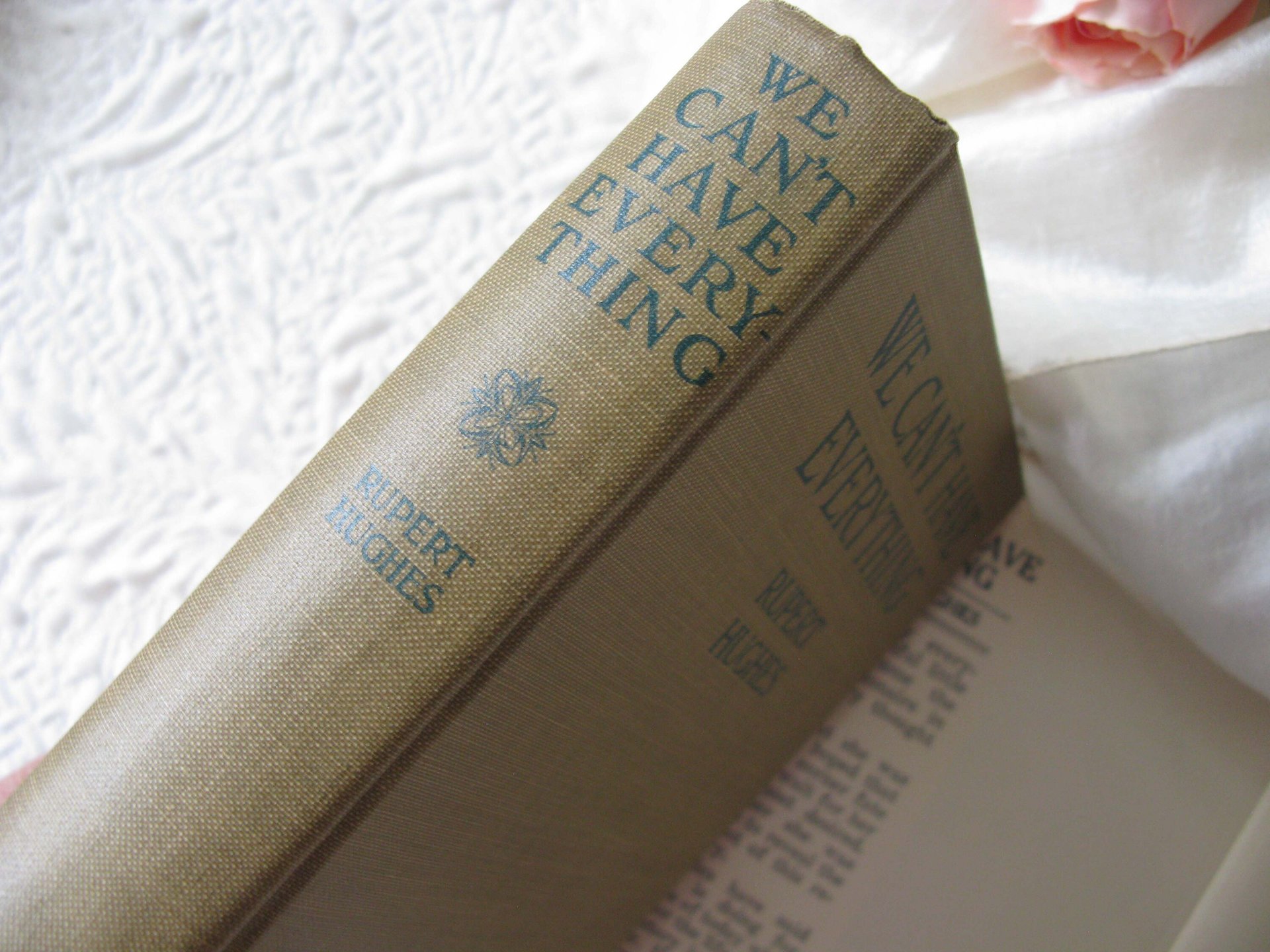Vintage Green Book 1st Ed. 1917 We Can't Have Everything Rare Edwardian Romantic Decorative Artwork Paper Cover Library Decor WhenRosesBloom