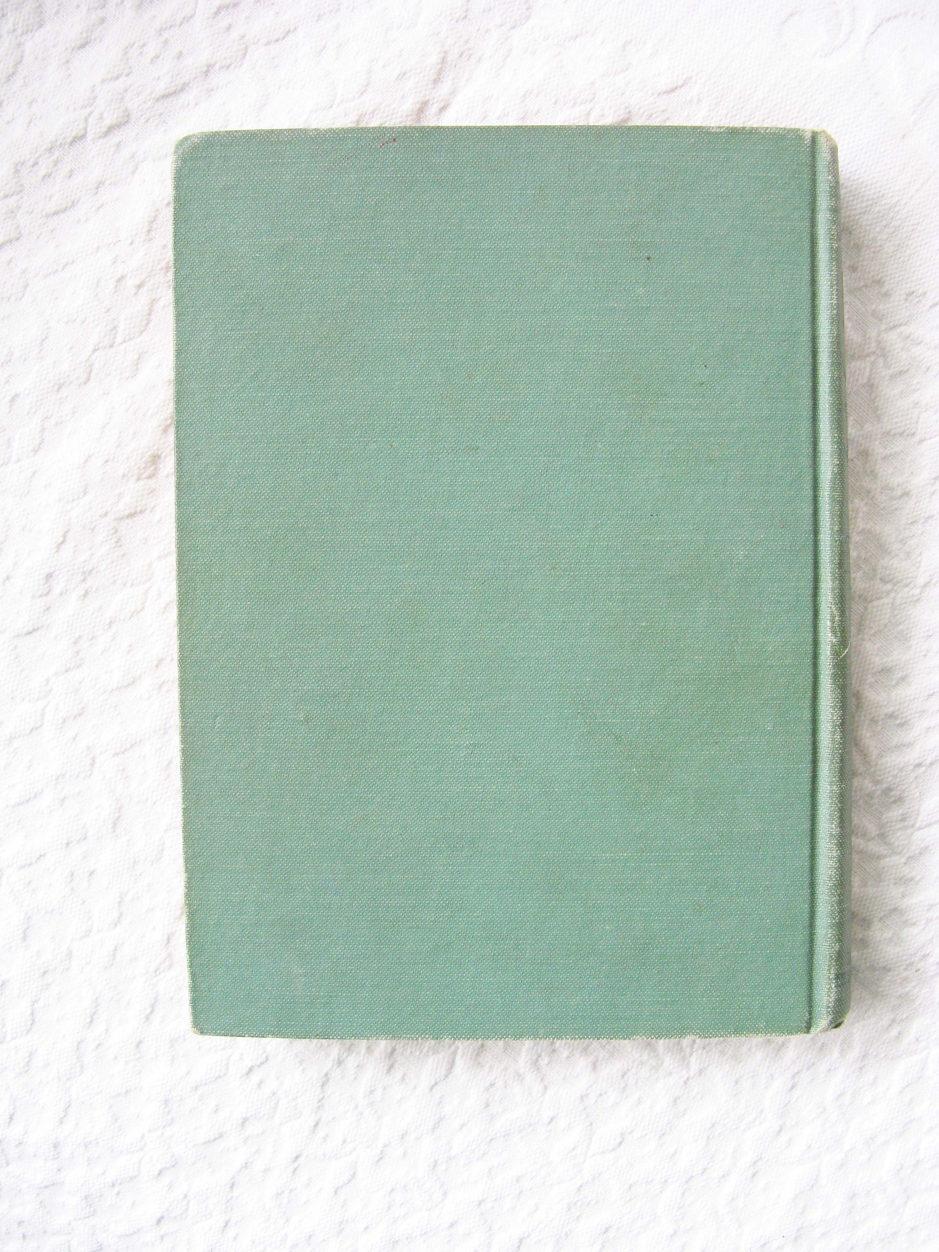Book Dorothy Dainty Vintage Juvenile Child Fiction Retro Library Decorative Graphic Art Cover  WhenRosesBloom