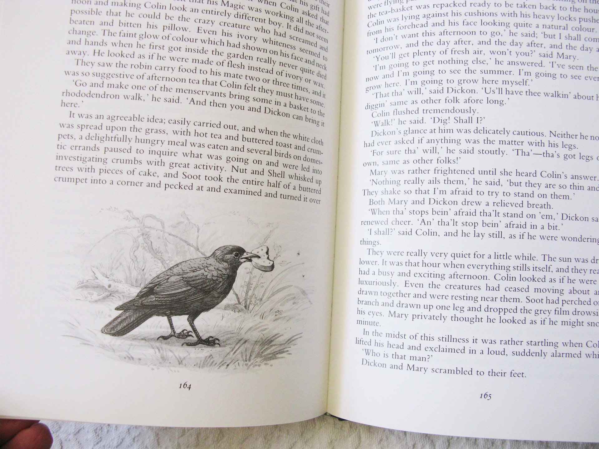 Book The Secret Garden Frances H Burnett Vintage Retro Library Decorative Graphic Art  Juvenile Child Fiction Fantasy 1st Ed. WhenRosesBloom