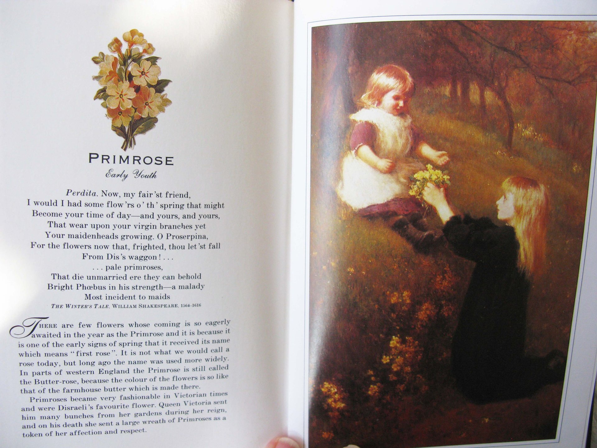 Vintage Penhaligon Scented Book The Language of Flowers  1st Ed Perfumed Classic Romantic Gift  Decorative Library Decor WhenRosesBloom