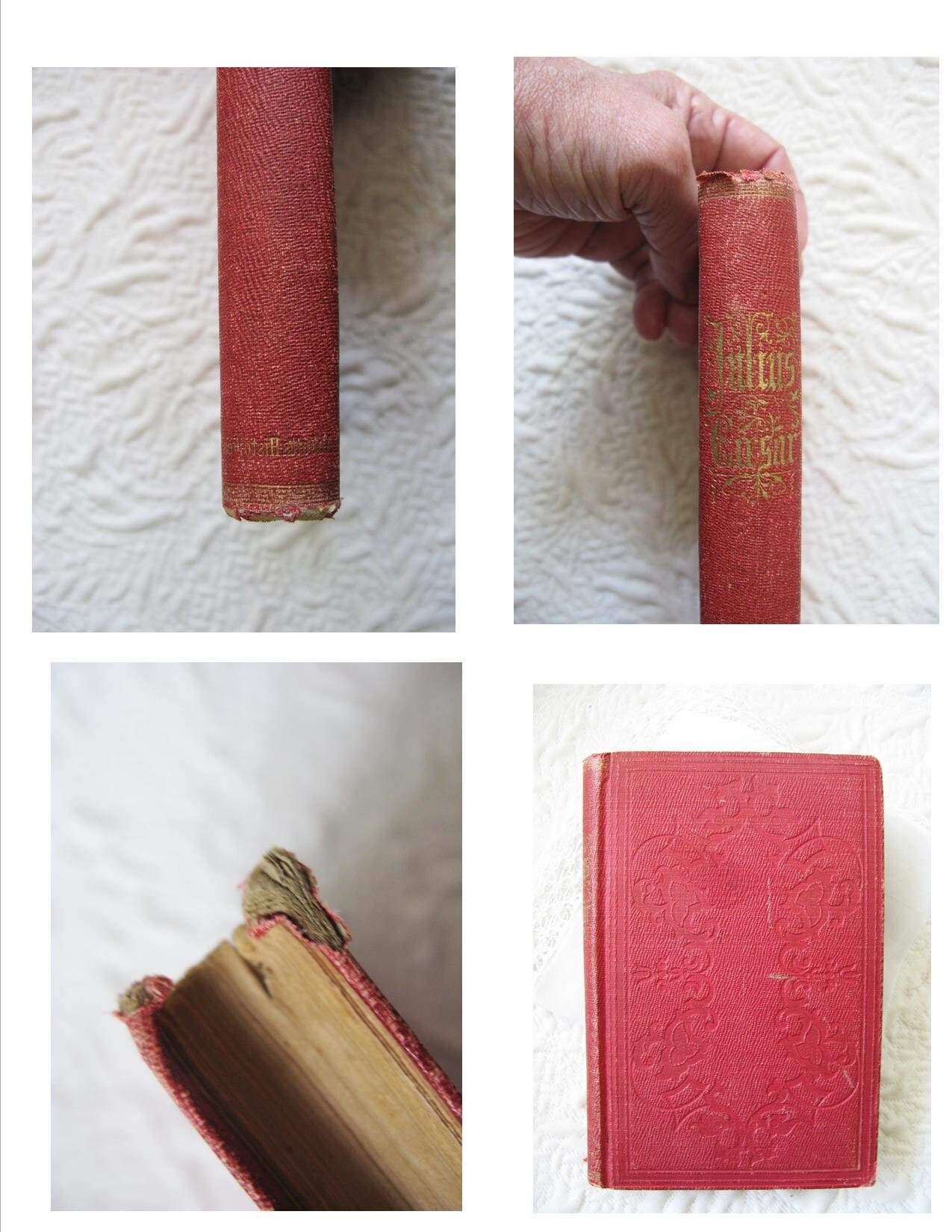Red Book Vintage Rare Classic History of Julius Caesar circa 1849 Decorative Library Gift Art Nouveau Graphic Cover Engraving WhenRosesBloom
