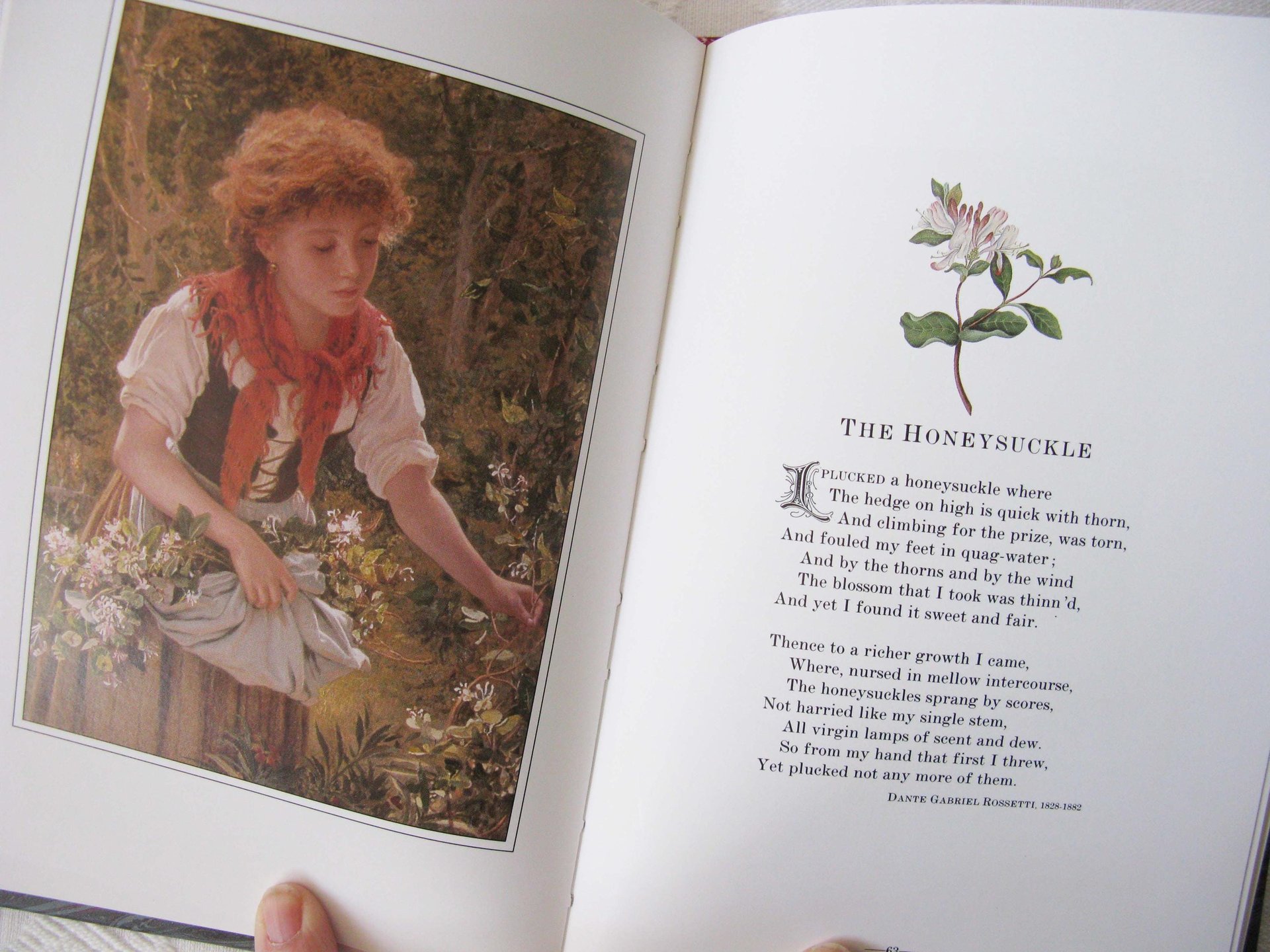 Vintage Penhaligon Scented Book A Victorian Posy  1st Ed English Perfumed Classic Romantic Gift  Decorative Library Decor WhenRosesBloom