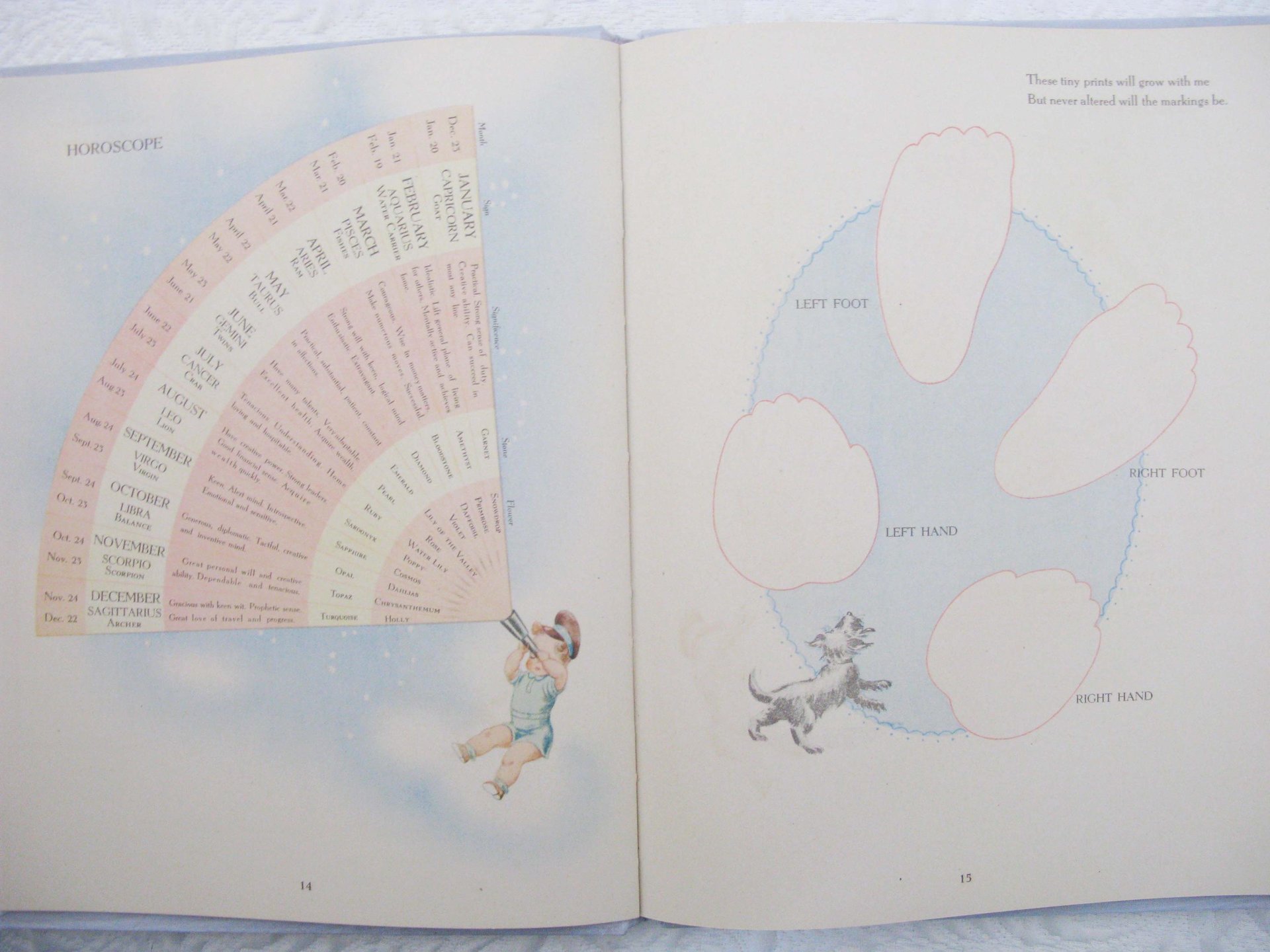 Baby Boy Book Vintage Record Events Retro Nursery Decorative Graphic Art  Juvenile Child  WhenRosesBloom